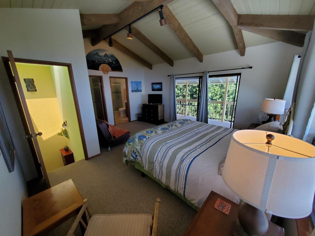 كابتن كوك A Beautiful Edge Of The World Bed & Breakfast المظهر الخارجي الصورة