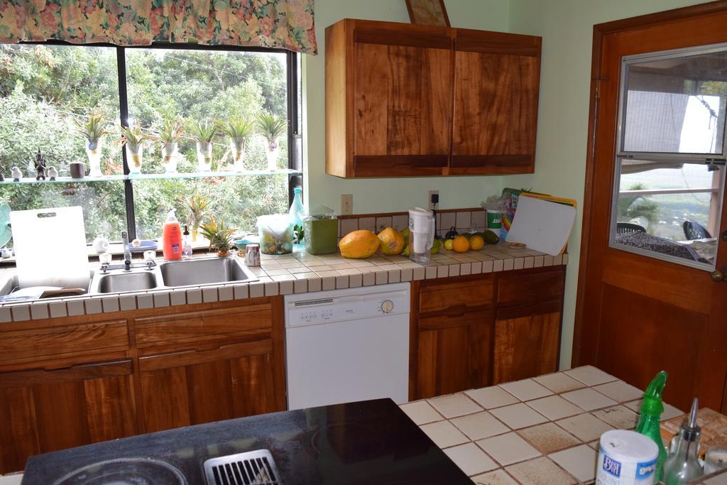 كابتن كوك A Beautiful Edge Of The World Bed & Breakfast المظهر الخارجي الصورة
